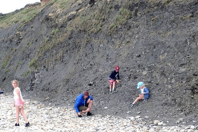 Charmouth Jurassic Coast Fossil Walk