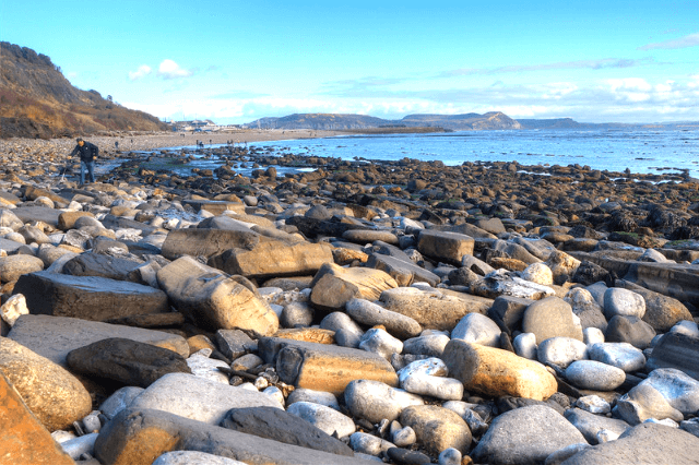 Fossil Hunting on Lyme Regis