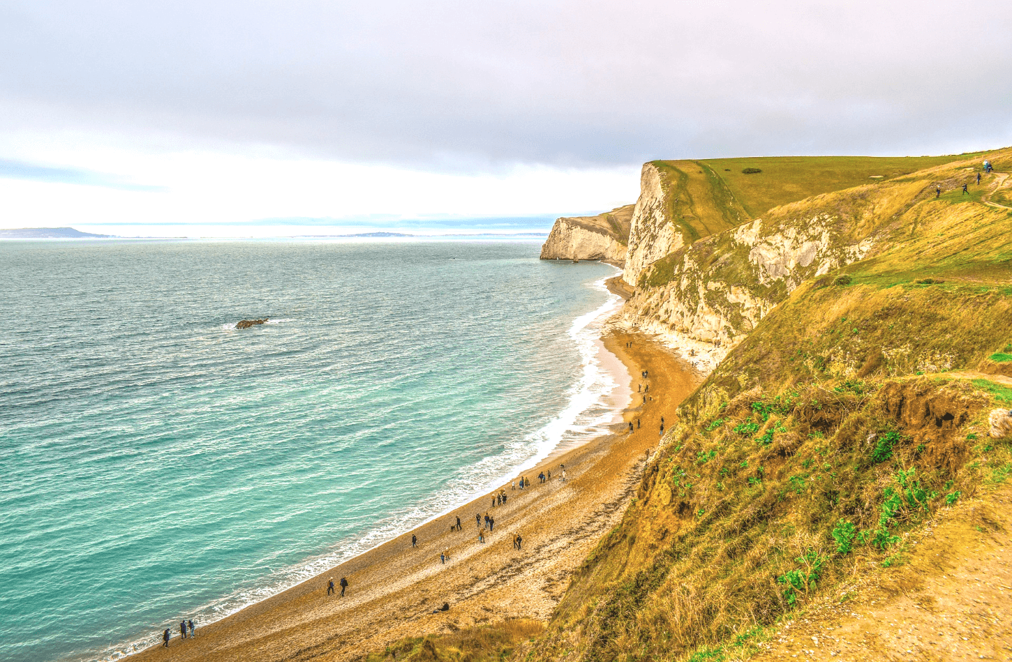 Fossil Hunting on the Jurassic Coast