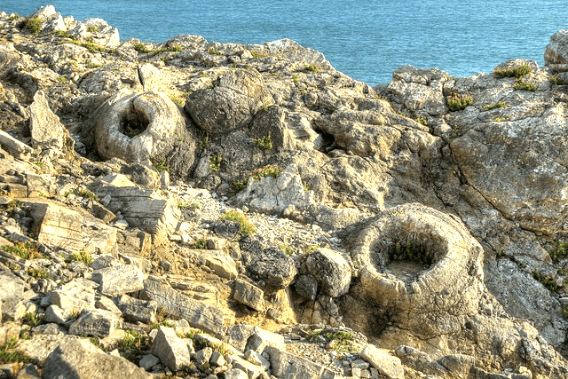 Chesil Beach and The Jurassic Coast - Earth Science Partnership