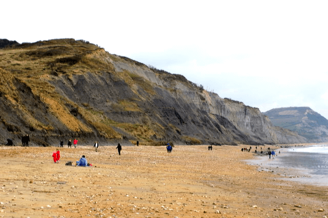 Lyme Regis Fossil Beach