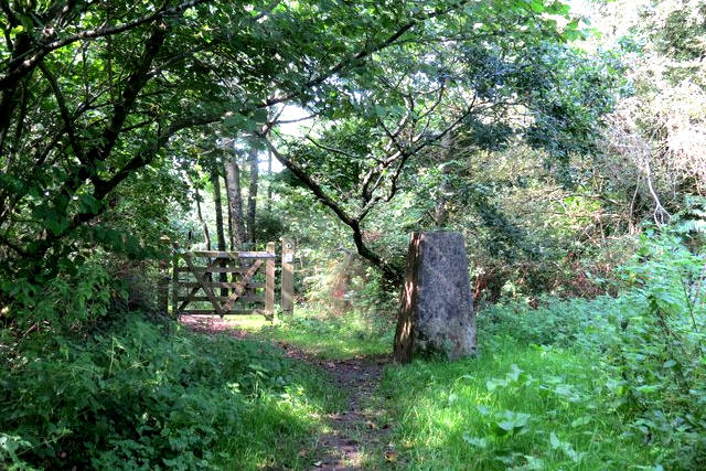 duncliffe woods