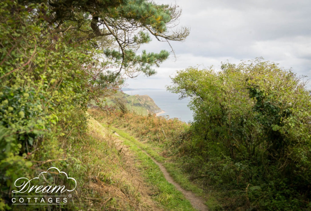 One of the top 3 running routes in Dorset - Golden Cap