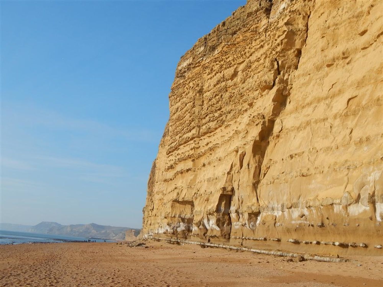 Cliffs at Burton Bradstock