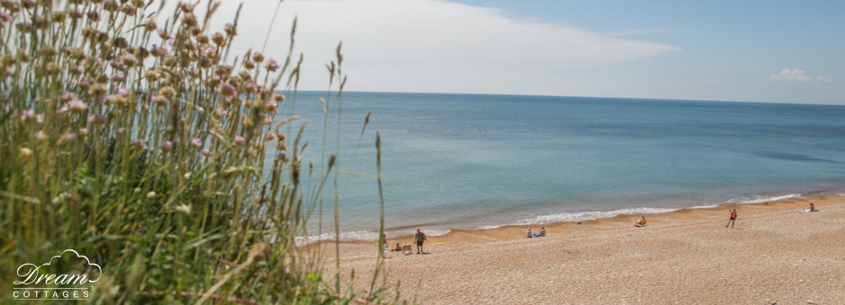 11 Best Beaches in Dorset Charmouth