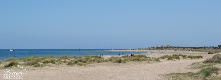 11 Best Beaches in Dorset Studland