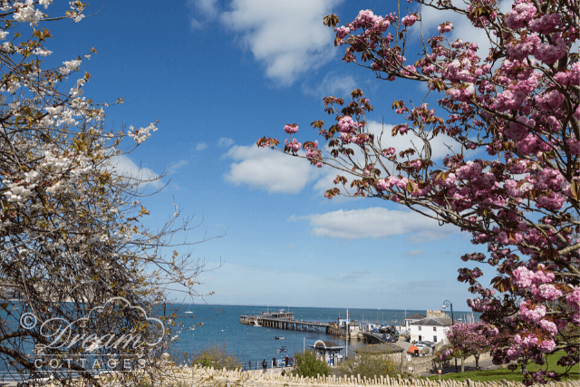 Views of Swanage Pier