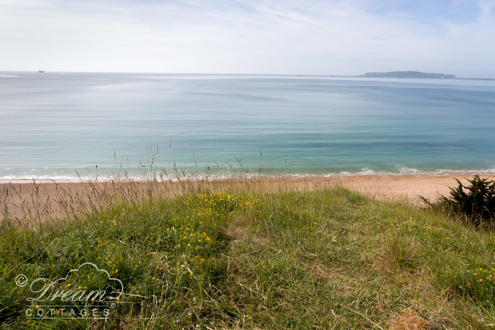 Bowleaze Cove from Furzy Cliff