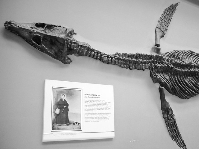 Mary Anning Plesiosaur