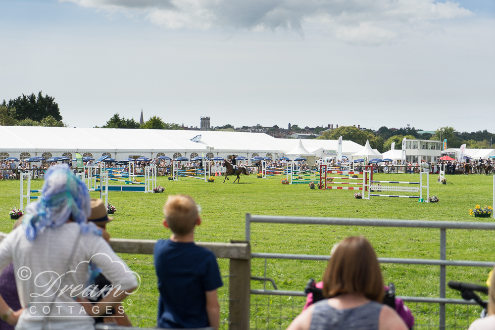 Dorset County Show