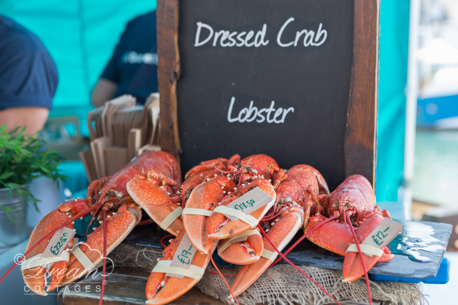 Lobster at Dorset Seafood Festival