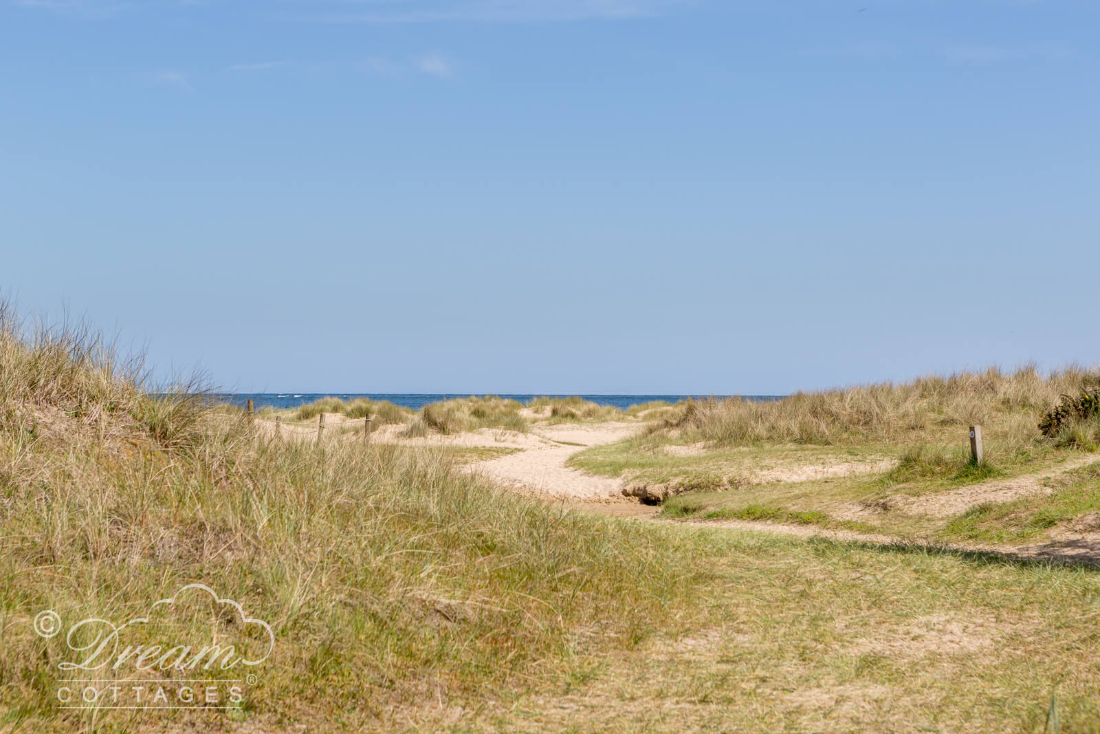 Studland Naturist Beach