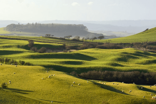 Abbotsbury hill fort Walk