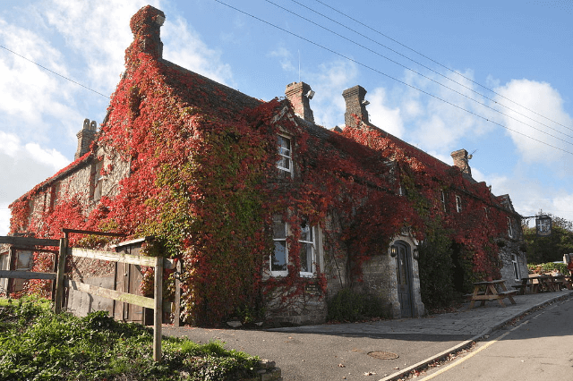 The Bankes Arms