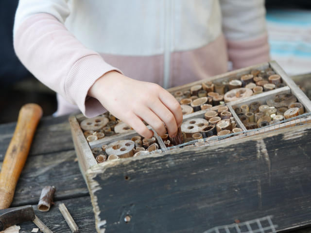 insect hotel half term activity in dorset
