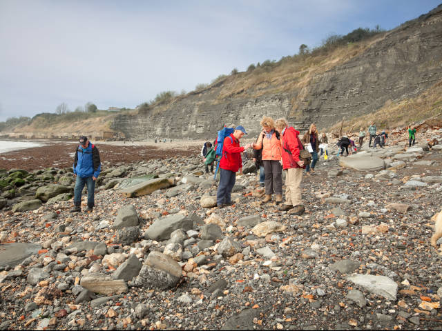 fossil hunting jurassic coast