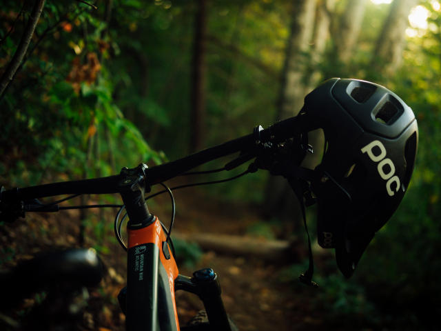 cycling at half term in dorset