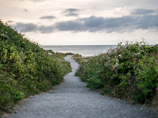 path in Dorset