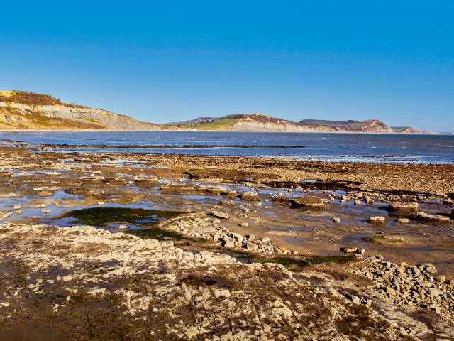 rockpooling half term activity in dorset