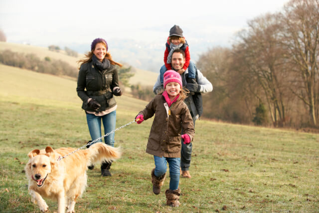 Family and dog walking to Cerne Giant viewpoint 
