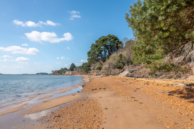 South Shore beach