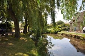 The duck pond in Sutton Poyntz