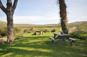 The pub garden at The Springhead